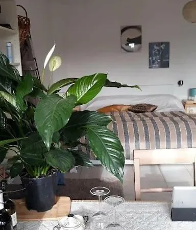 Modern Studio With Acqueducts View